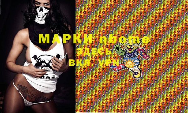 крисы Белокуриха
