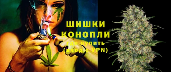 индика Бронницы