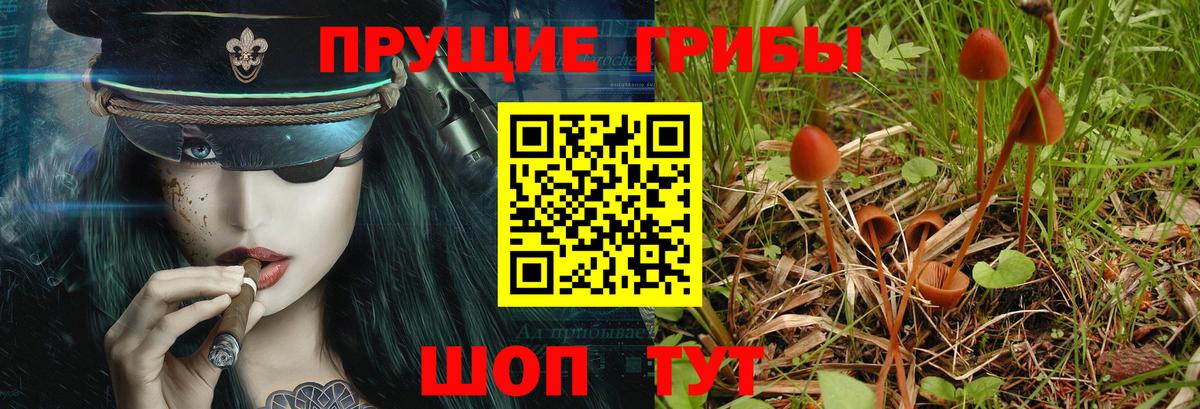 Галлюциногенные грибы ЛСД  Вход с VPN  Бирск 