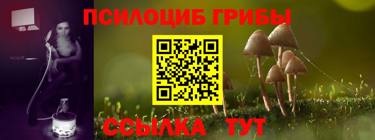Псилоцибиновые грибы ЛСД Бирск